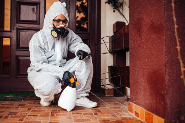 Reliable Ant Control contractor in Anton, TX by Show Me Pest Control